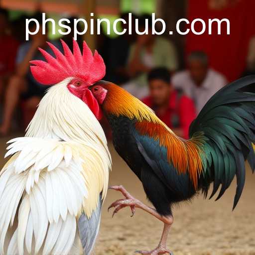 Understanding Sabong Games: Unveiling the World of 'phspin'